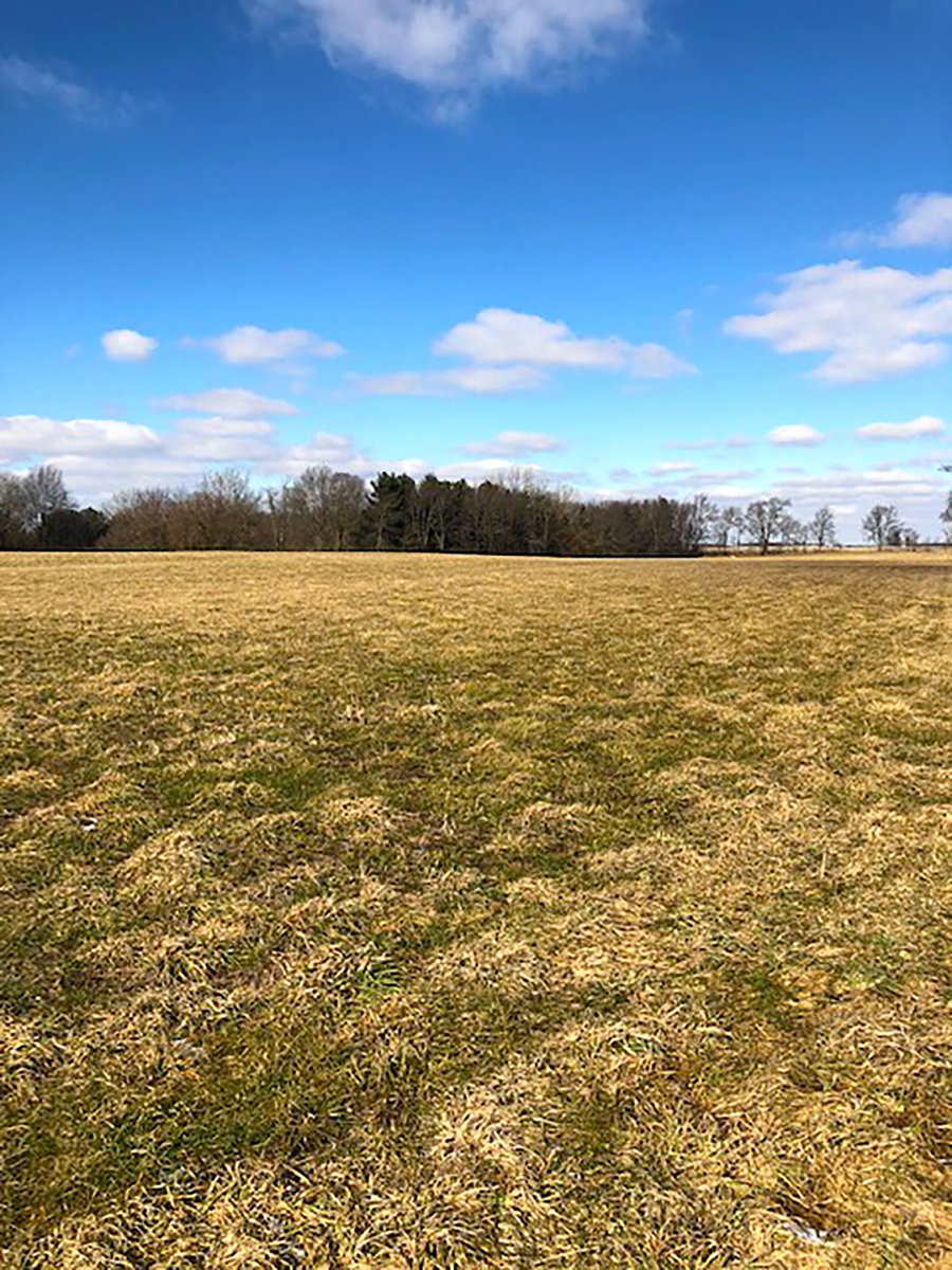 REAL ESTATE AUCTION - 30.5+/- ACRES IN 3 TRACTS IN KOSCIUSKO COUNTY, INDIANA